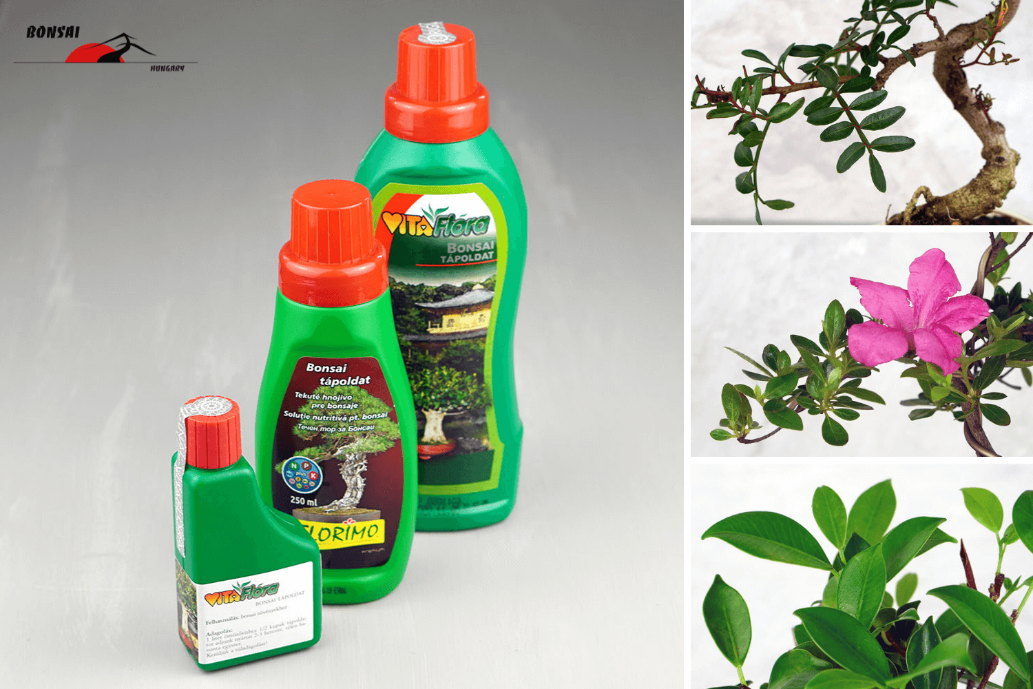 Tápanyag - Bonsai Hungary