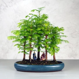 Bonsai szobor - többféle