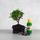 Bonsai ajándékcsomag - Carmona