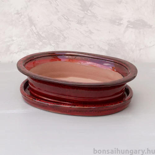 Bonsai tál szett - extra