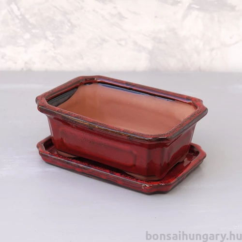 Bonsai tál szett - közepes