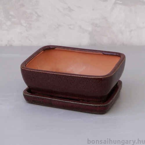 Bonsai tál szett - közepes