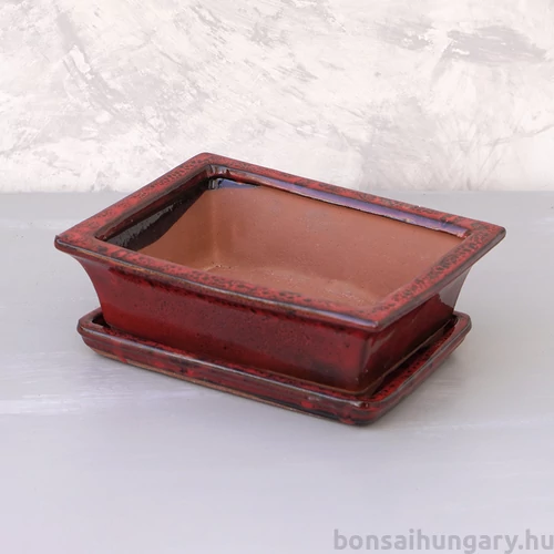 Bonsai tál szett - nagy