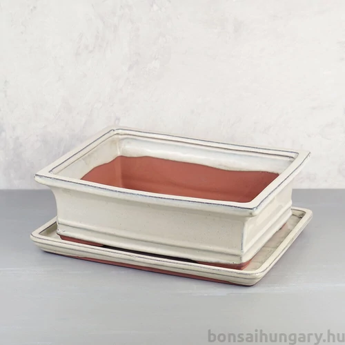 Bonsai tál szett - extra