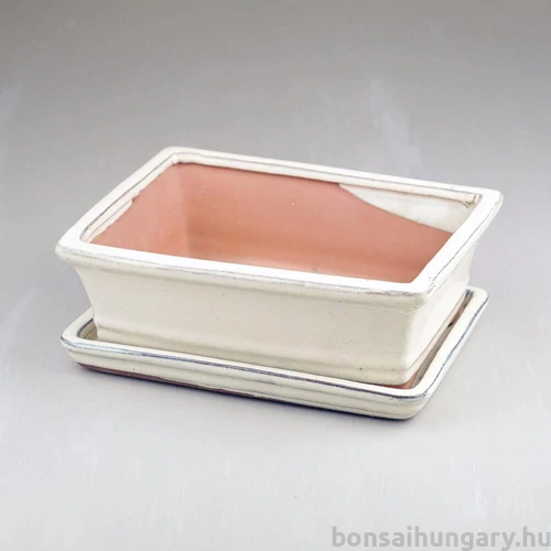 Bonsai tál szett - közepes
