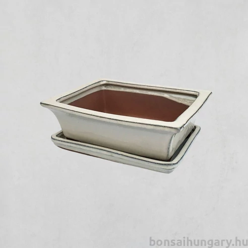 Bonsai tál szett - nagy