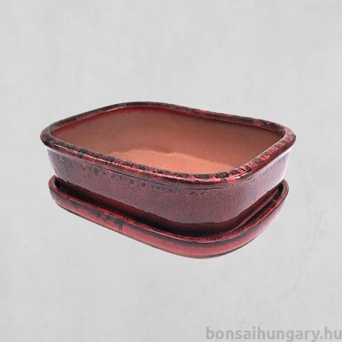 Bonsai tál szett - extra