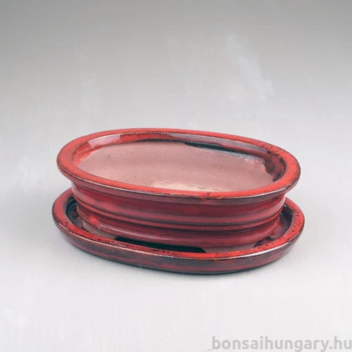 Bonsai tál szett - kicsi