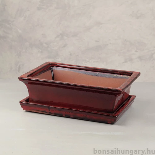 Bonsai tál szett - nagy