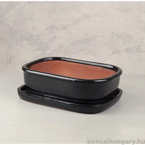 Bonsai tál szett - extra