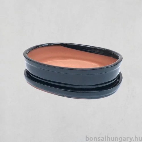 Bonsai tál szett - extra