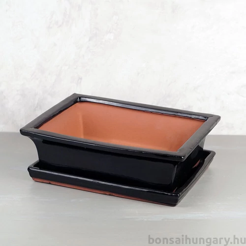 Bonsai tál szett - extra