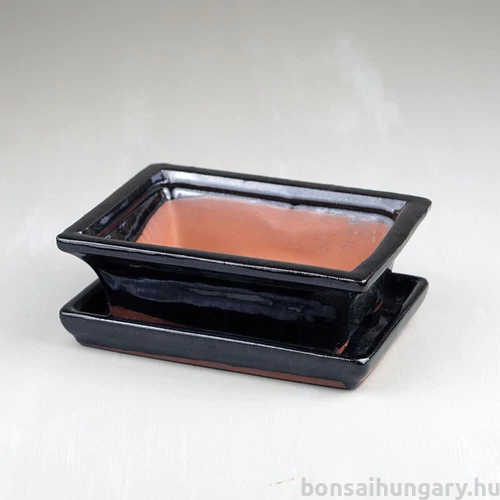 Bonsai tál szett - extra