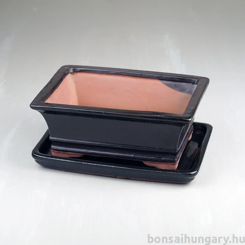 Bonsai tál szett - extra