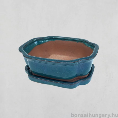 Bonsai tál szett - közepes