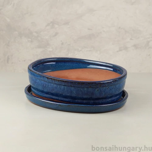 Bonsai tál szett - nagy