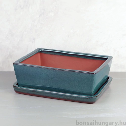Bonsai tál szett - nagy
