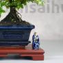 Kép 3/4 - Bonsai asztal - barna