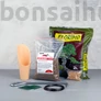 Kép 1/6 - Ültetőcsomag bonsaiokhoz