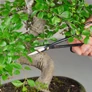 Kép 6/8 - Bonsai olló