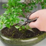 Kép 2/2 - Bonsai olló
