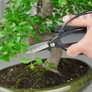 Kép 2/4 - Bonsai olló