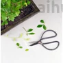 Kép 5/8 - Bonsai olló